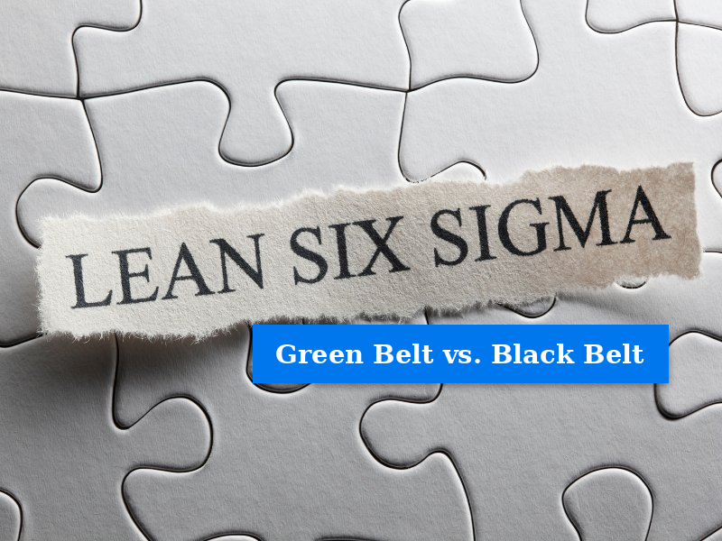 Green Belt or Black Belt? Finding the Lean Six Sigma Path That Fits Your Career