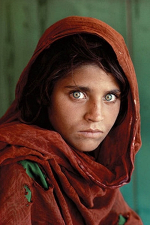 looking-east Looking East by Steve McCurry