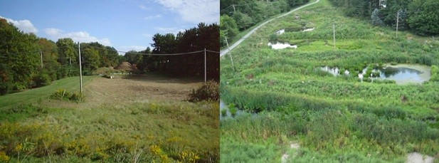 Original detention basin (1999) vs. Constructed Stormwater Wetland (2012) Original detention basin (1999) vs. Constructed Stormwater Wetland (2012)