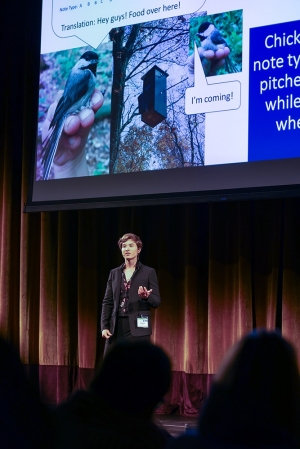 Villanova graduate Biology student Claire Jones presenting on stage at 3MT in front of her slide being projected on screen