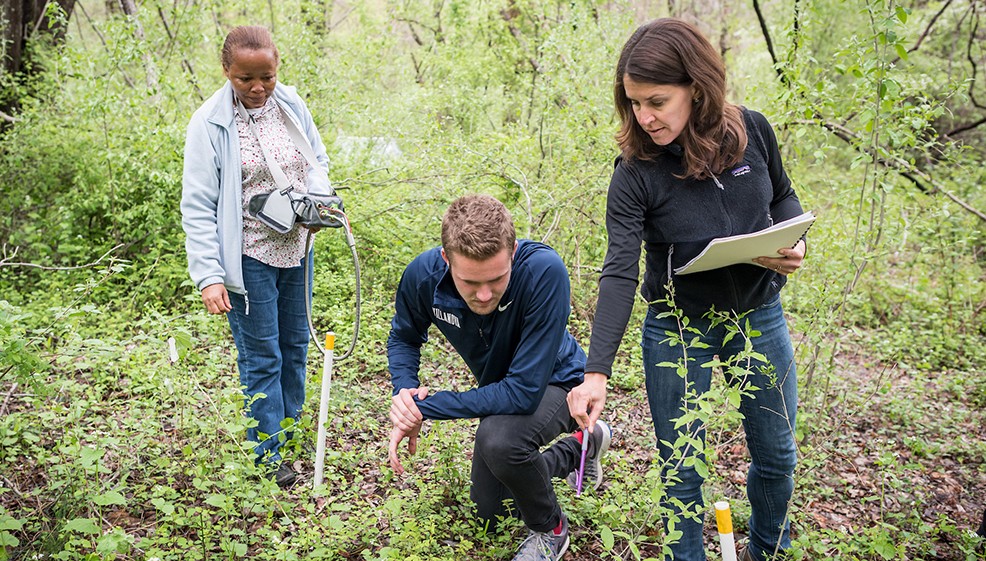 Graduate Biology students and faculty conducting field work