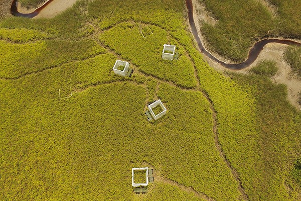 An arial view of a marsh where the team does research. An arial view of a marsh where the team does research.