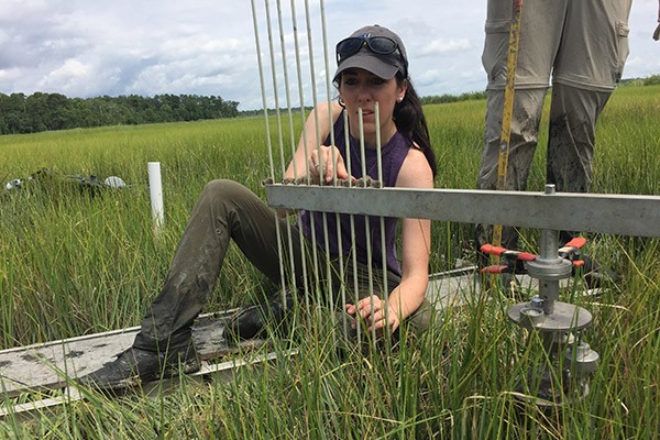 A student works in the field. A student works in the field.
