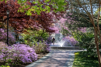 Villanova's Grounds Department recently won a PGMS Grand Award celebrating excellence in grounds maintenance. Eye-catching flowering plants dot the landscape around Villanova's fountain