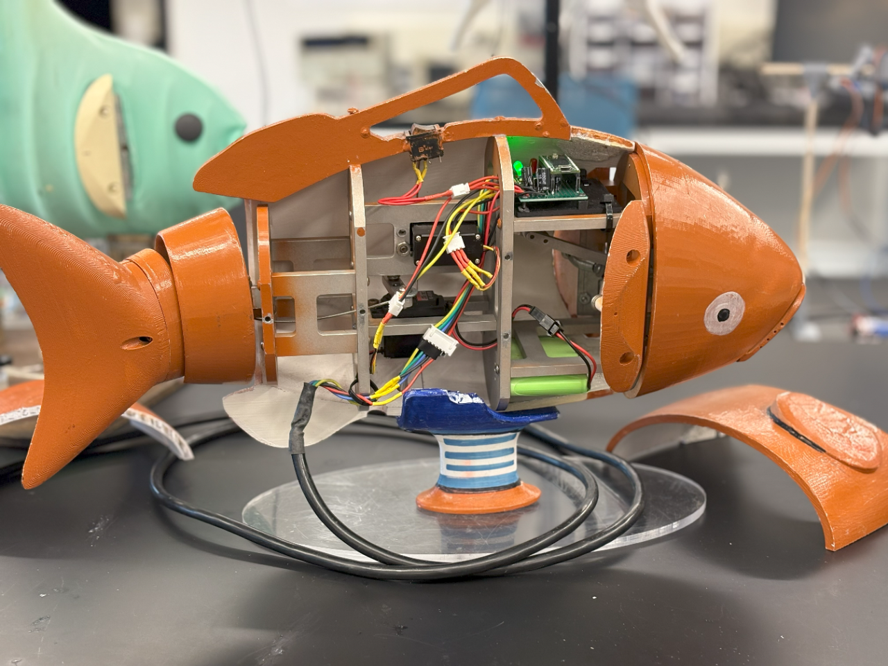 The goldfish robot's gills open and close in sync with its tail. The goldfish robot's gills open and close in sync with its tail.