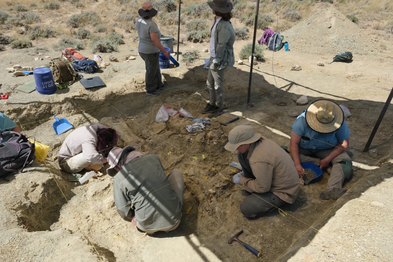 Villanova students participated in an paleontological dig in Montana to collect data for a virtual field trip program. Villanova students participated in an paleontological dig in Montana to collect data for a virtual field trip program.