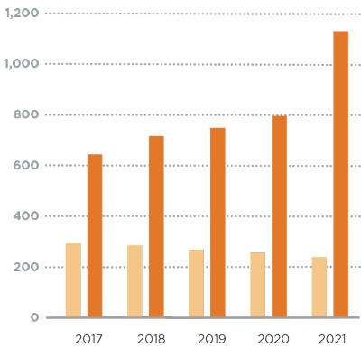 Chart showing Endowment vs. Long Term Debt