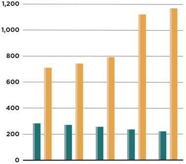 Chart showing Endowment vs. Long Term Debt