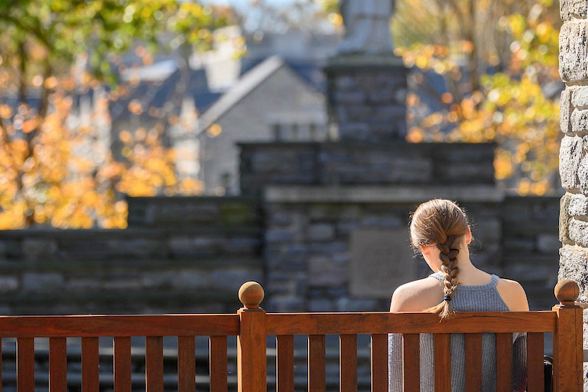 CSP0251_20191028_391_crop CSP0251_20191028_391_crop