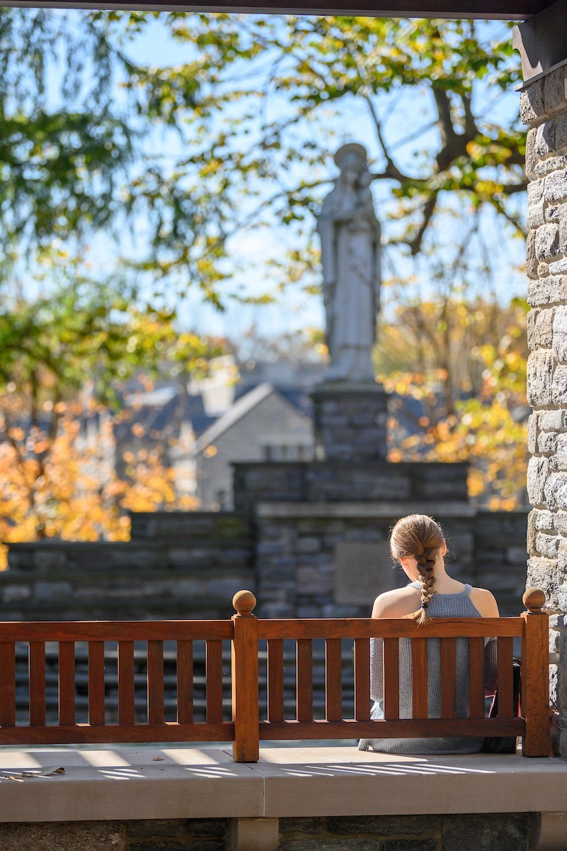 CSP0251_20191028_391 CSP0251_20191028_391