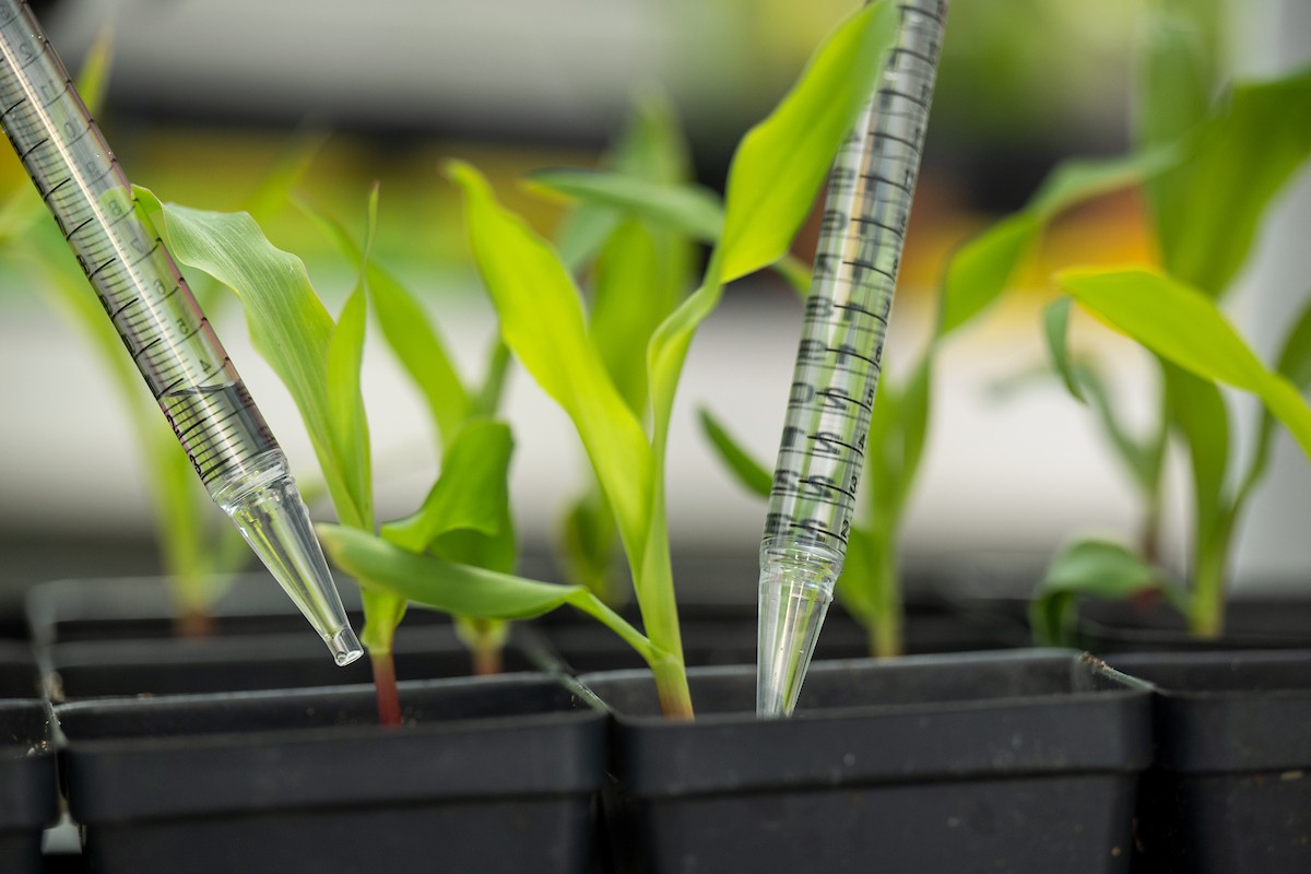 ASU486_20230316_0343 ASU486_20230316_0343