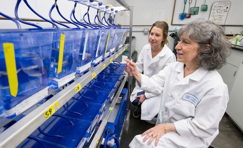 biology-professor-student-lab Biology professor and student in lab