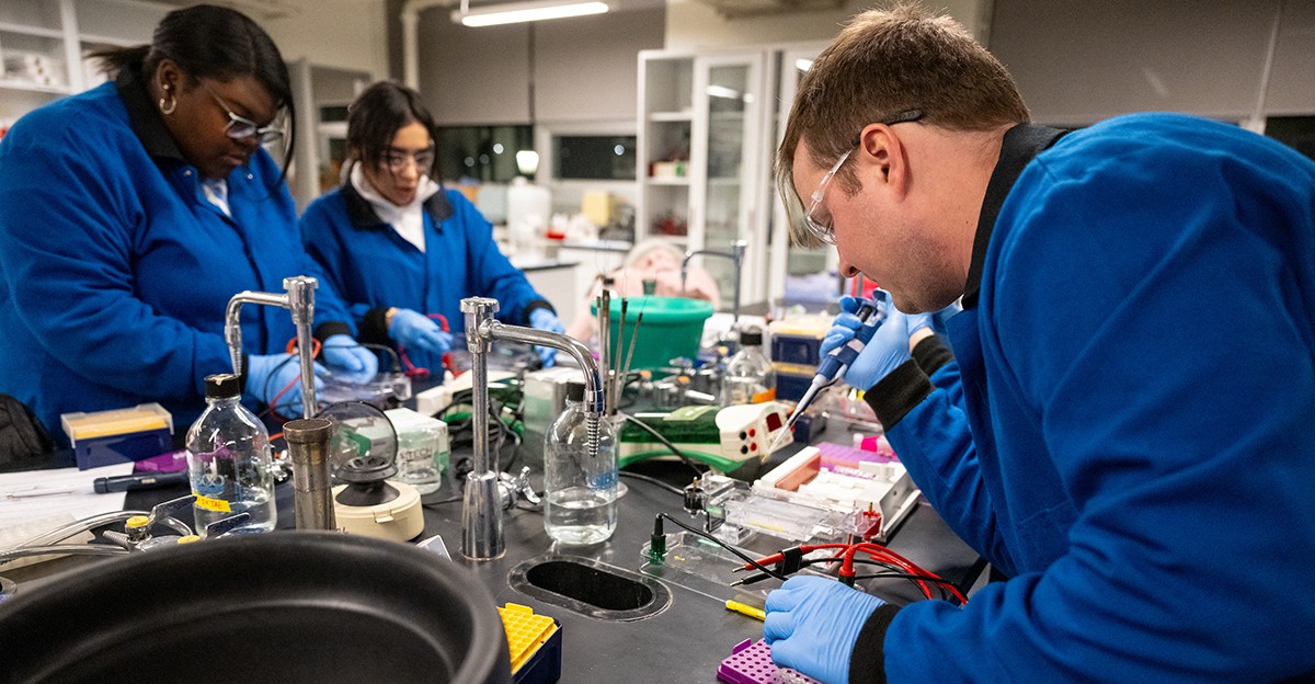 Graduate students working in a biology lab Graduate students working in a biology lab