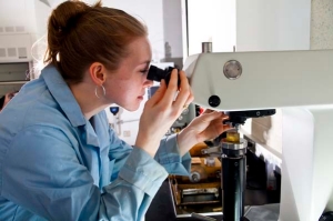 Vickers Hardness Tester