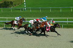 Horse-Racing