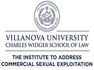 CSE Logo The Institute to Address Commercial Sexual Exploitation