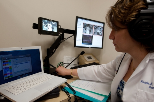 simulation course
