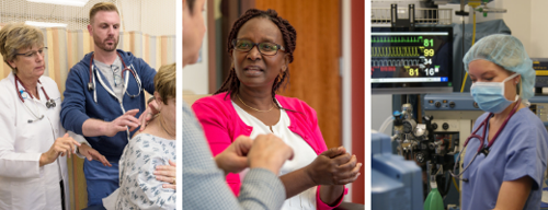 Nurse practitioner, doctoral and nurse anesthesia students