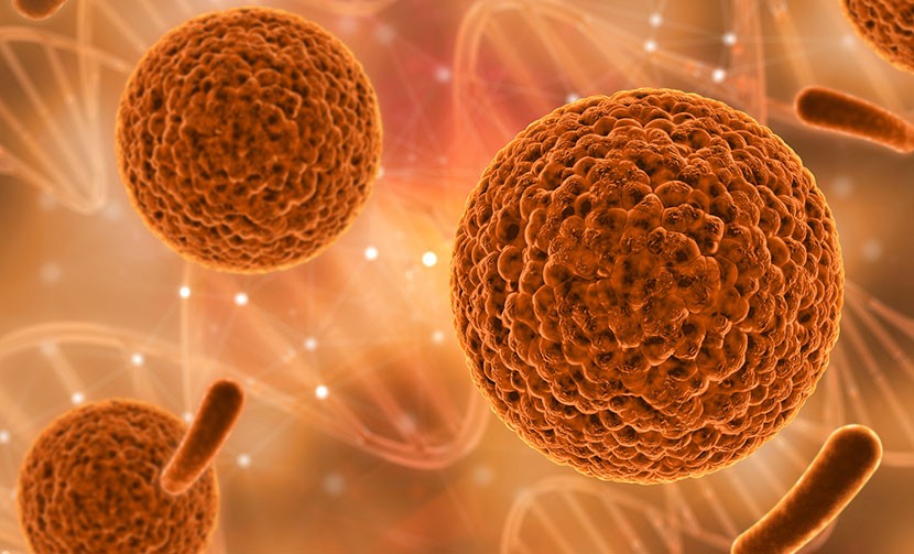 Medical Background with Various Cells