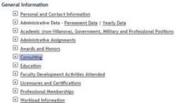 Consulting (Non-Academic)