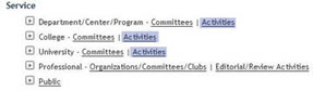 Student Organization Advisor