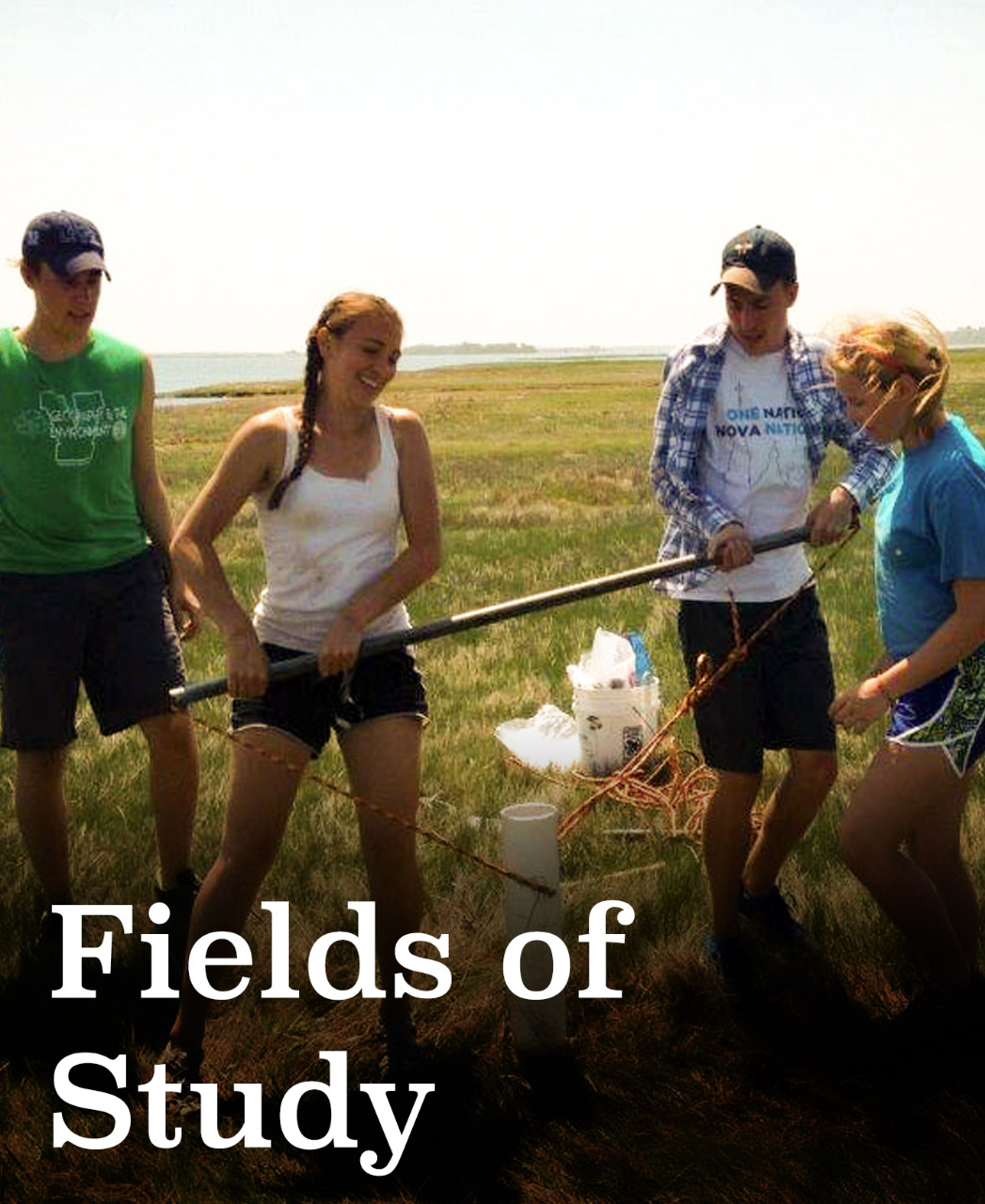 Fields of Study