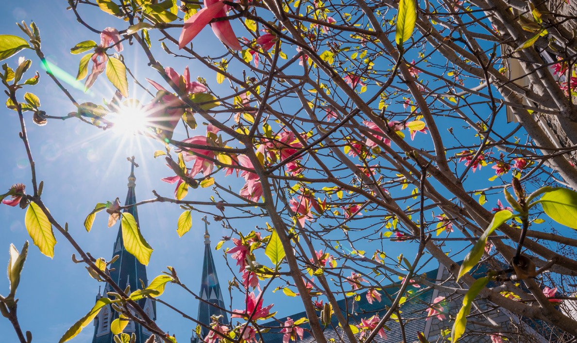 Villanova Church in Background