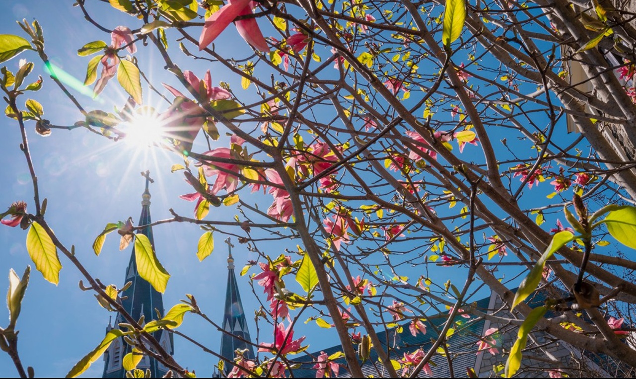 Villanova Church in Background