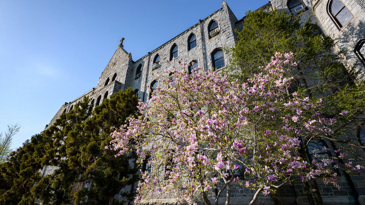 A building on campus with trees in front of it with purple flowers