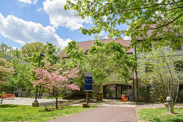 Image of a dorm on Cabrini's campus