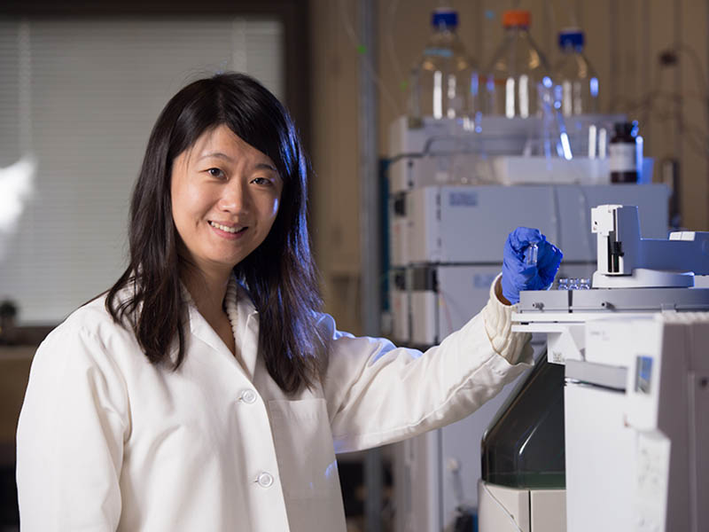 Dr. Wenqing Xu
