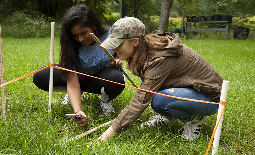 Two students conduct research in the field.