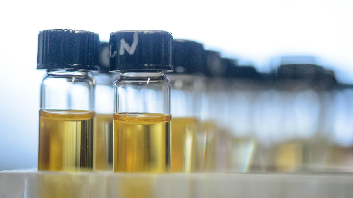 sealed vials with yellow liquid