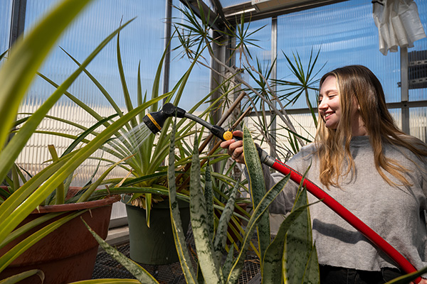 A student waters the exotic plants.