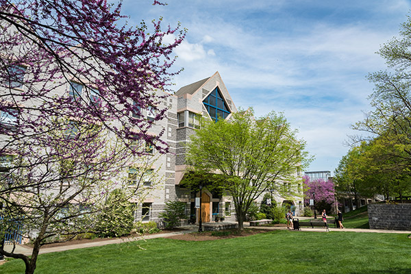 building with flowering trees and grass