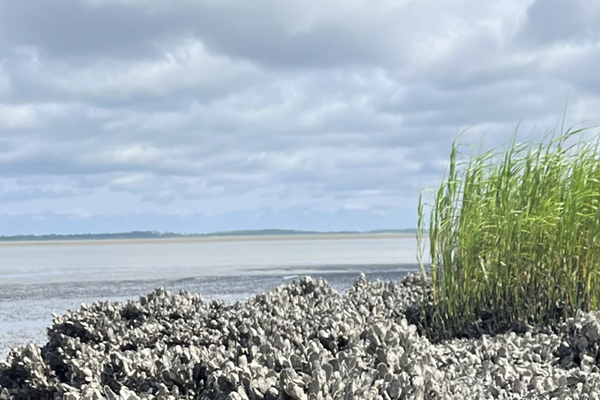 coastline