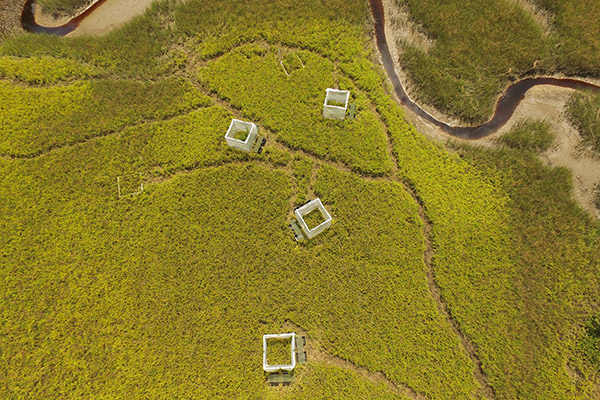 An arial view of a marsh where the team does research.