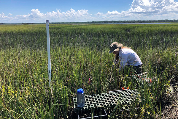 A student works in the field.