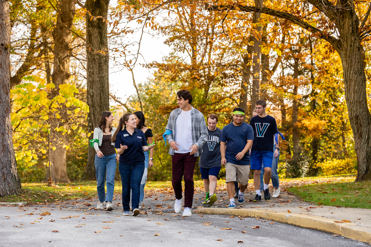 Students walking and talking in the woods