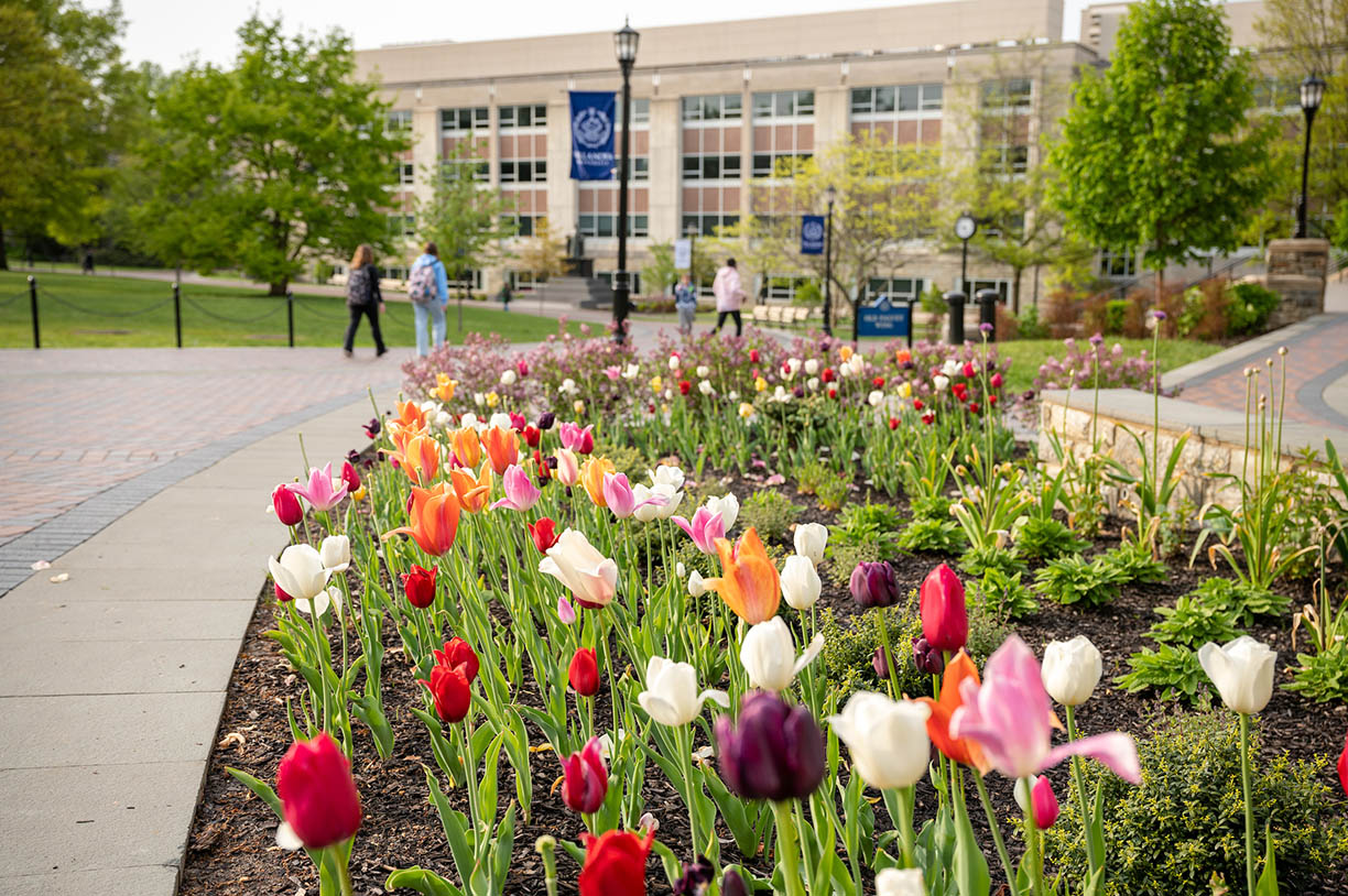 Spring Break at Villanova