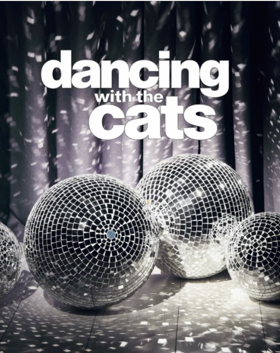 Dancing with the Cats