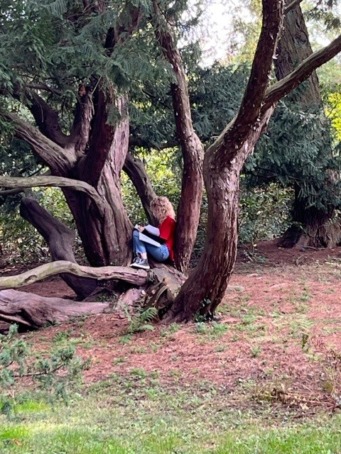 student with copybook sitting in tree