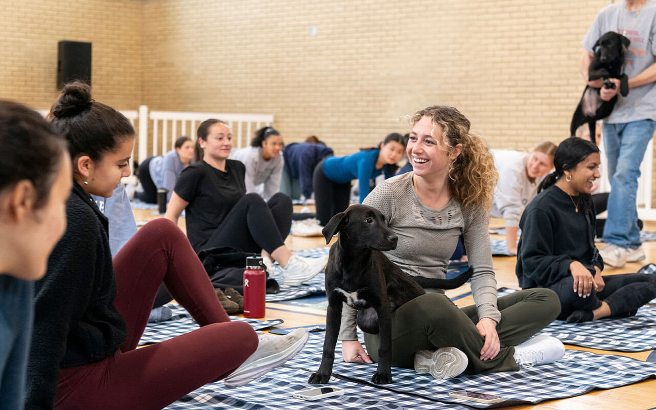 Female Villanova students practice puppy yoga; in front, a smiling student sits on a blue and white gingham mat with a black puppy on her lap.