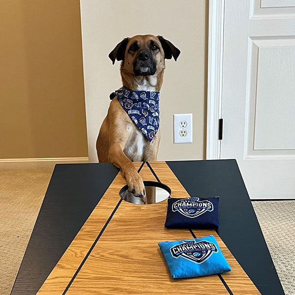 a brown dog has its paw on top of a baggo board