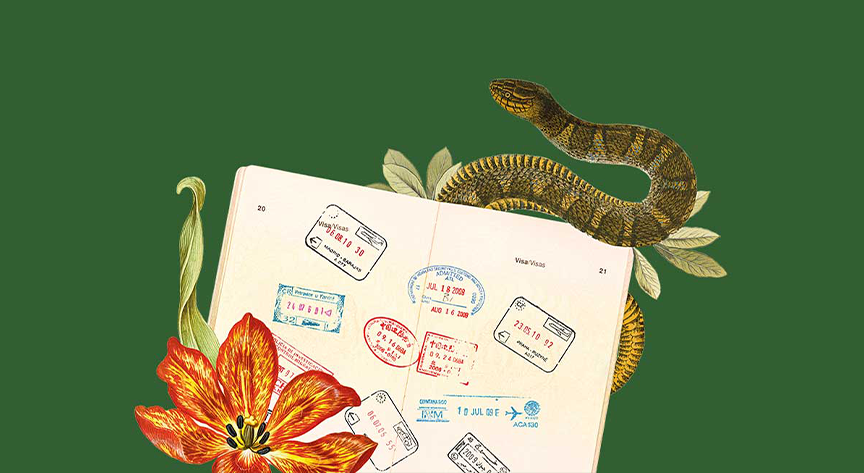 An open passport with multiple entry stamps, surrounded by illustrated flowers and a snake.