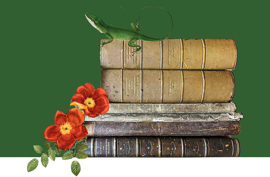 A stack of old books with a small green lizard on top and red flowers alongside.
