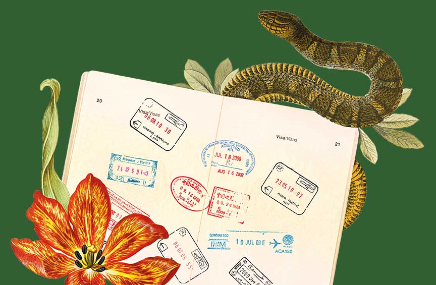 An open passport with multiple entry stamps, surrounded by illustrated flowers and a snake.